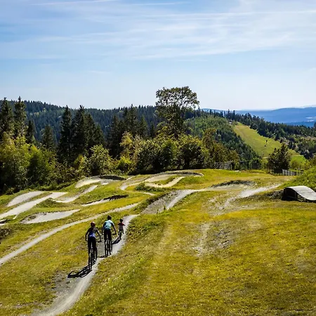 Im In Vogtl アパート *